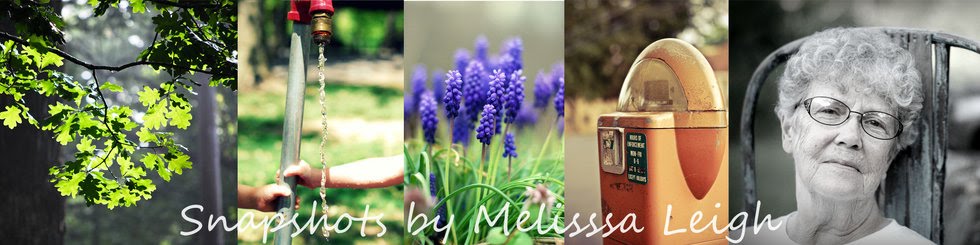 Snapshots by Melissa Leigh