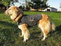 Thunder Shirt