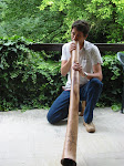 Le lézard et le Didgeridoo