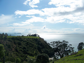 Waiheke island again