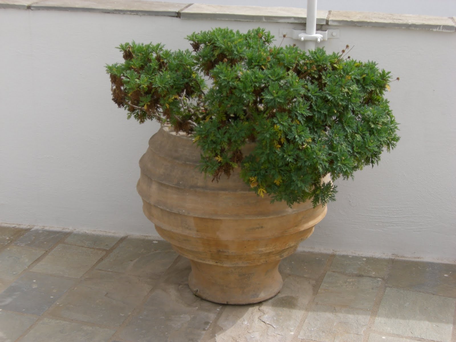 Im Gedenken An Florian April 2010