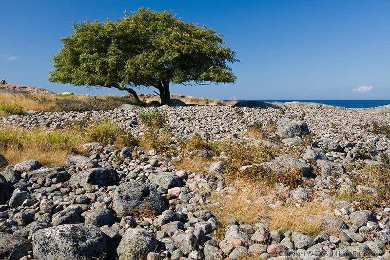 Im Gedenken An Florian Memento