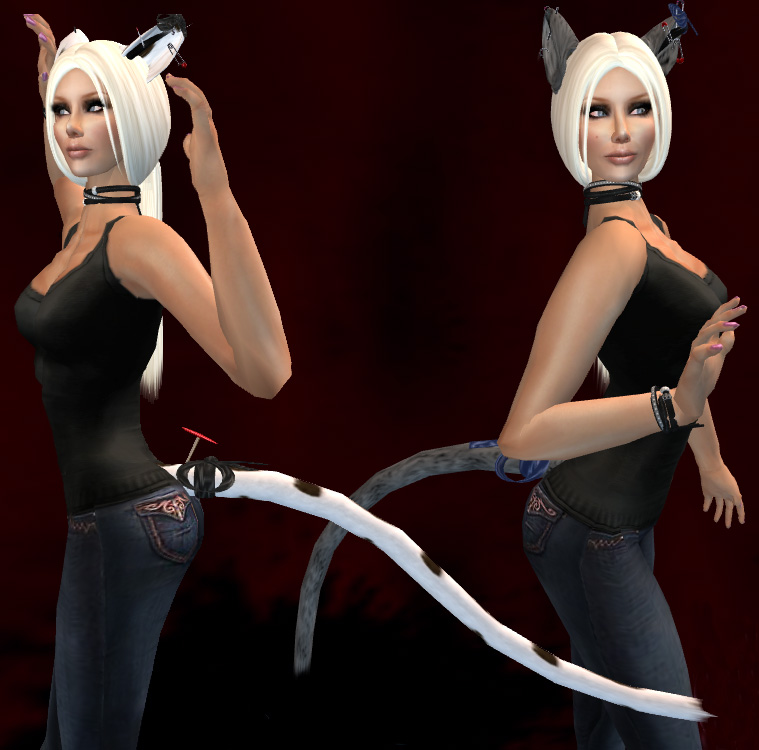 [1catears_001+copy.jpg]