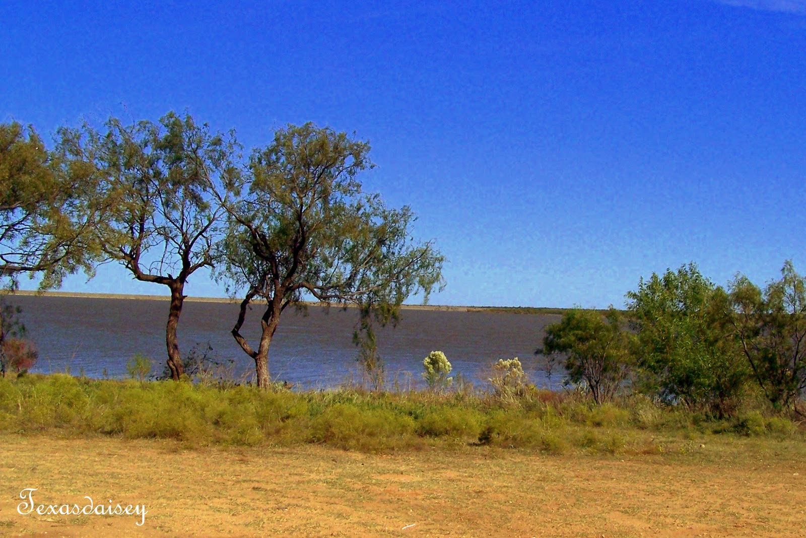 Texasdaisey Creations Secrets of Miller Creek Reservoir