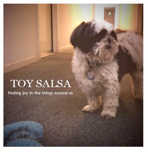 Toy Salsa