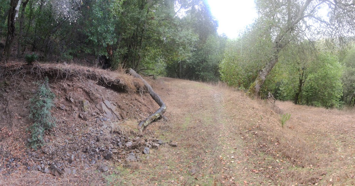 Ziasus' Ride Reports Pheasant Road again, last week