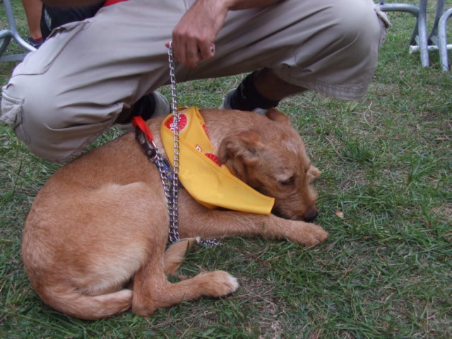 [DSCF7138.JPG]