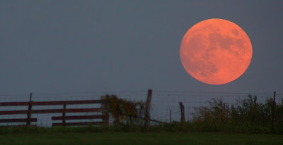 Rising Moon