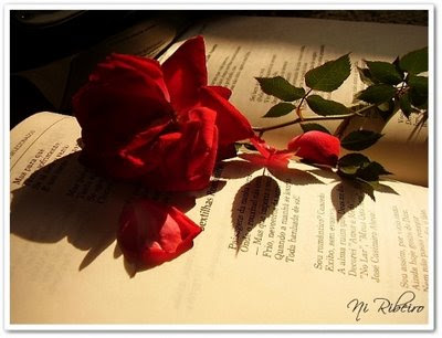 Poesia De Amor poemas de amor. poesia de amor. Poesia De Amor poemas de amor.