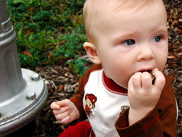 Puyallup Baby and Child Photography