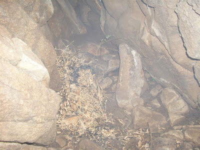 La Cueva camino a la Jara IMG_0413+%28Large%29