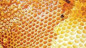 Teig mit Honig zum Karpfen