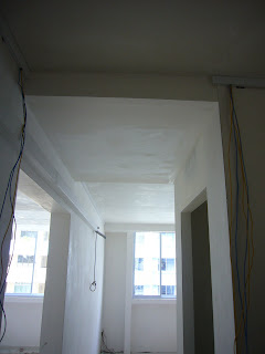 Blissndreams House Renovation Weeks 5 7