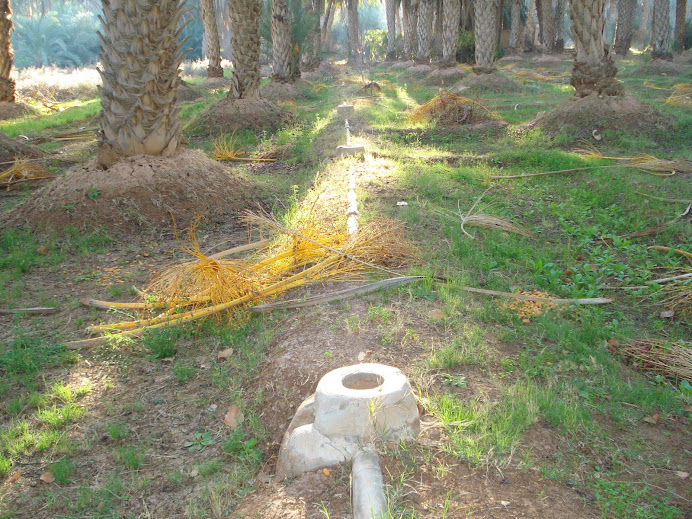 Région de Guerrara (W.Ghardaia)