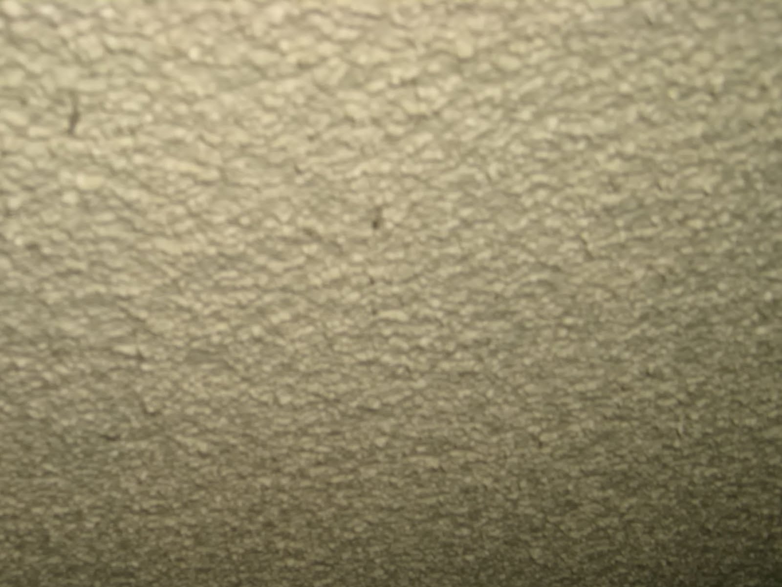 The Perpetual Remodeler Removing Popcorn Acoustical Ceiling Texture