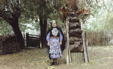 etnia mapuche