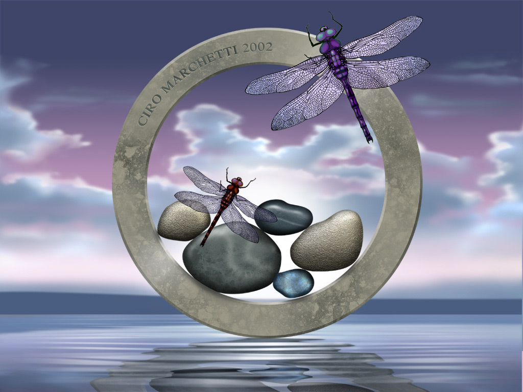 http://2.bp.blogspot.com/_K7FdAqKcKCM/S-CIp0xwTiI/AAAAAAAAATY/WqdR1pFSZh8/s1600/Zen%20Dragonflies%20and%20Stone.jpg