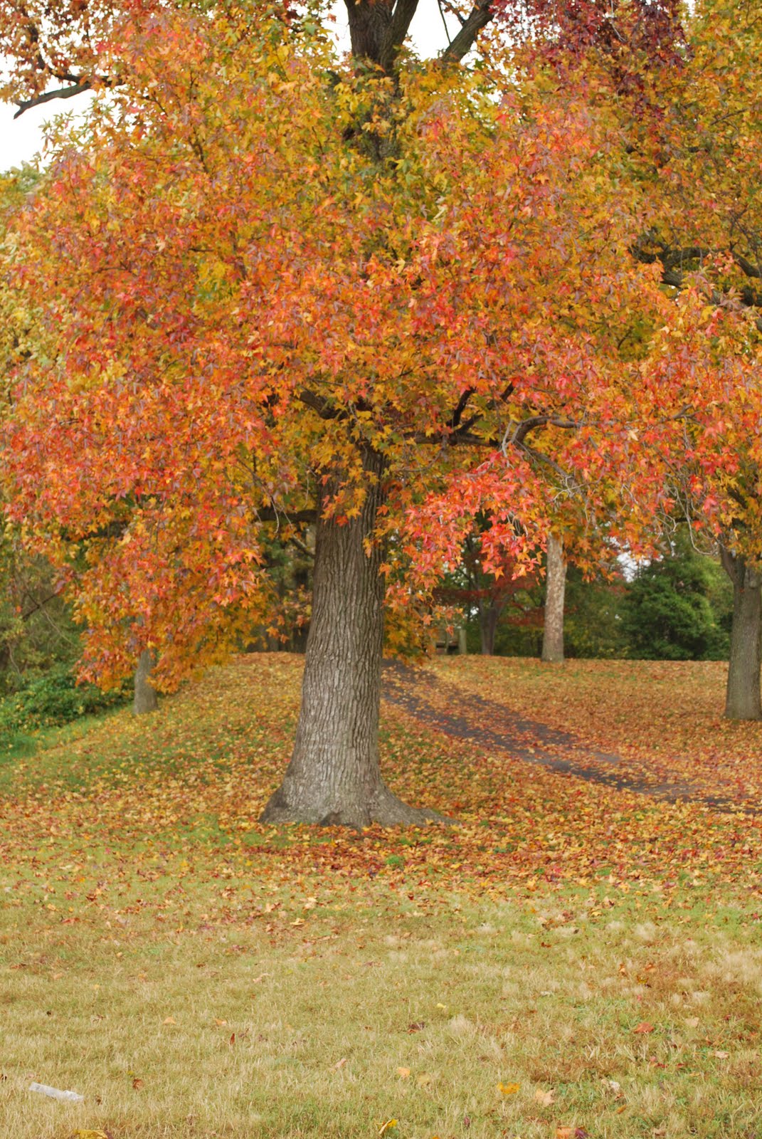 [DSC_0060.JPG]