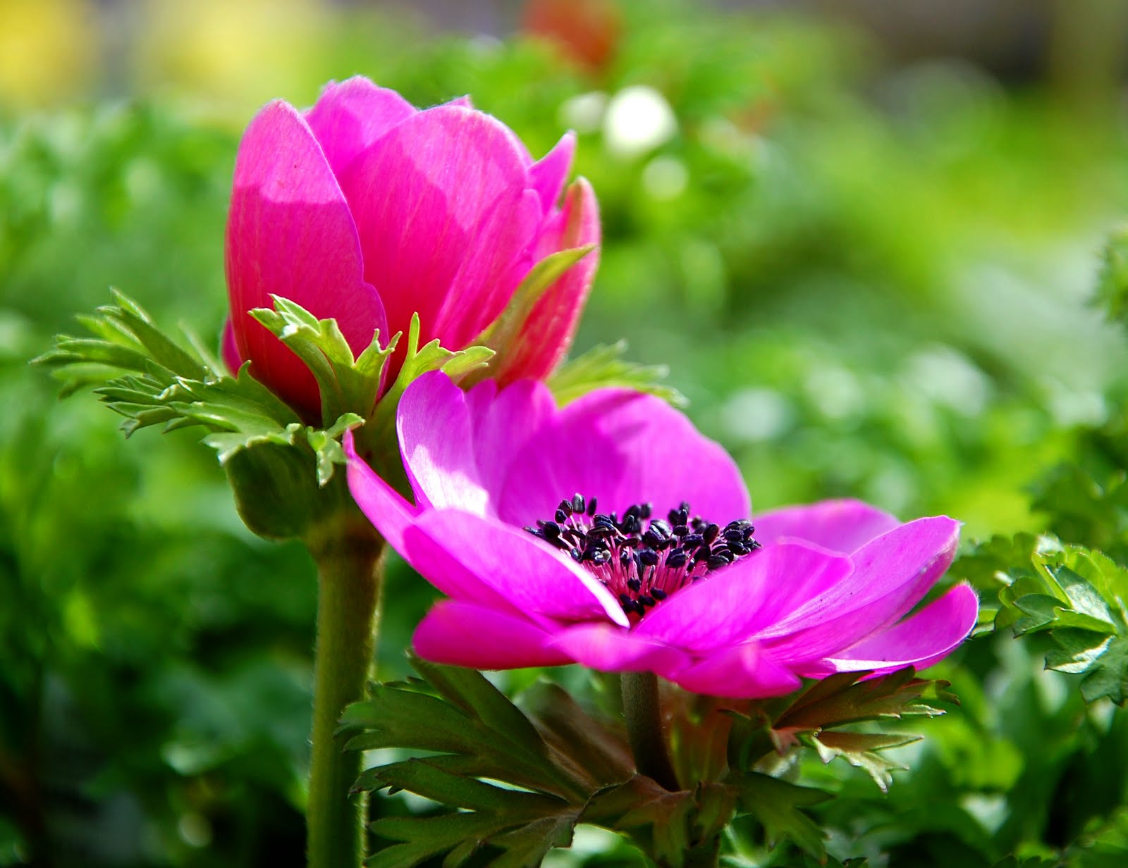[CSC_0048.JPG]