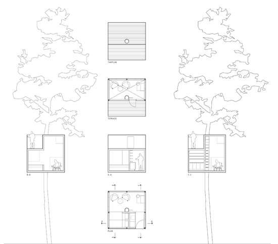 [tree4.gif]