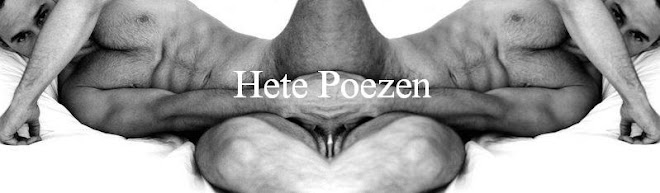 Hete poezen