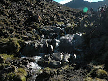 TONGARIRO CROSSING