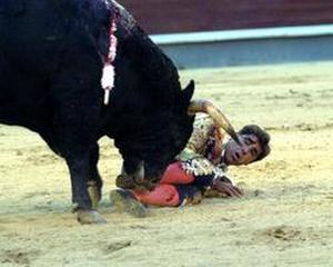 [valvertoro.JPG]