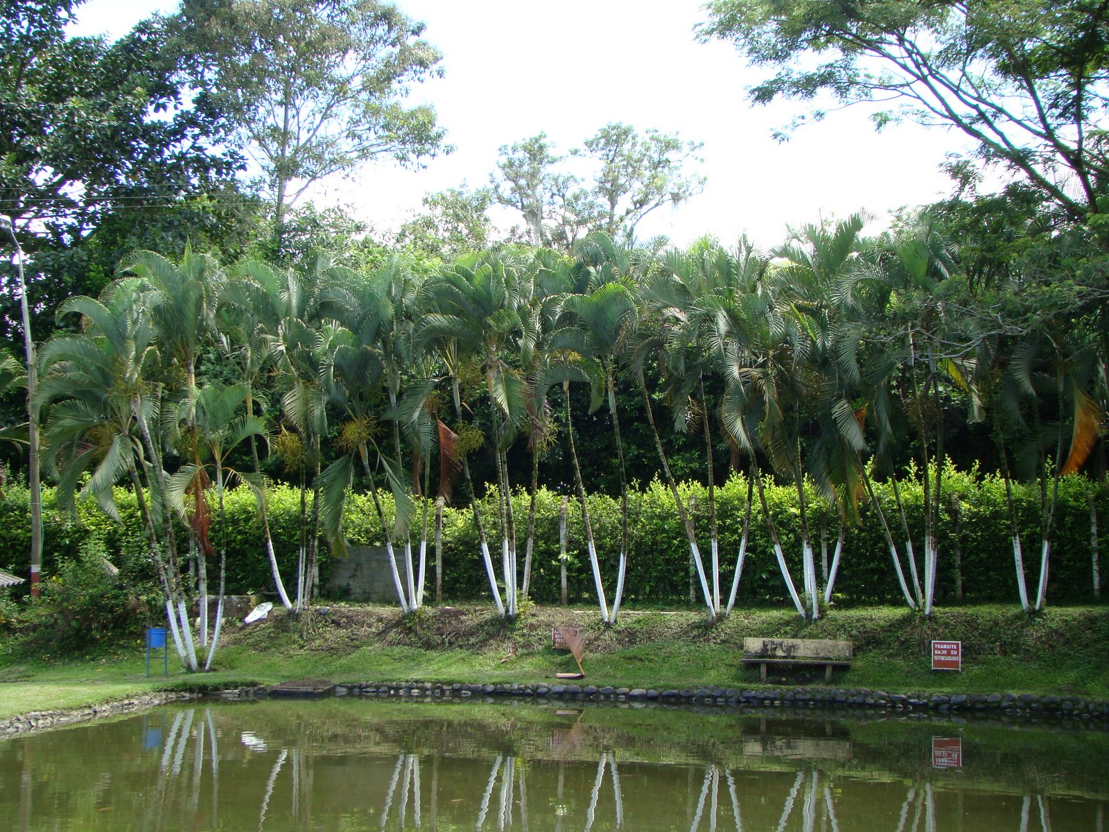 [DSC05901.JPG]