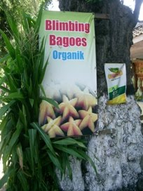Belimbing Organik