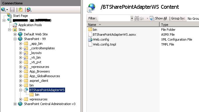 [AdapterWebServiceInIIS.jpg]