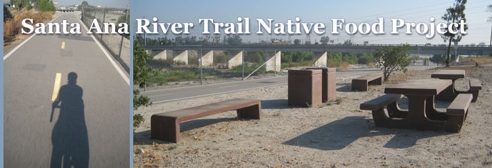 Santa Ana River Trail Native Food Project