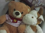 My teddy bear !!