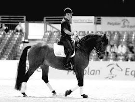 Entenda como o cavalo se movimenta – Adestramento Brasil