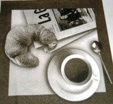 [PB040048.JPG]