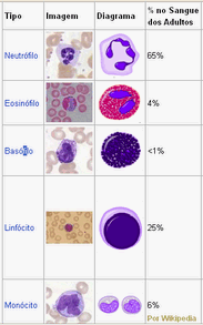 Exame de sangue dengue
