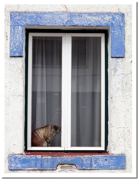 [arraiolos++017.JPG]