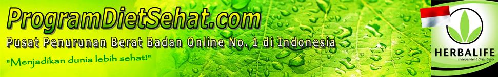 ProgramDietSehat.com