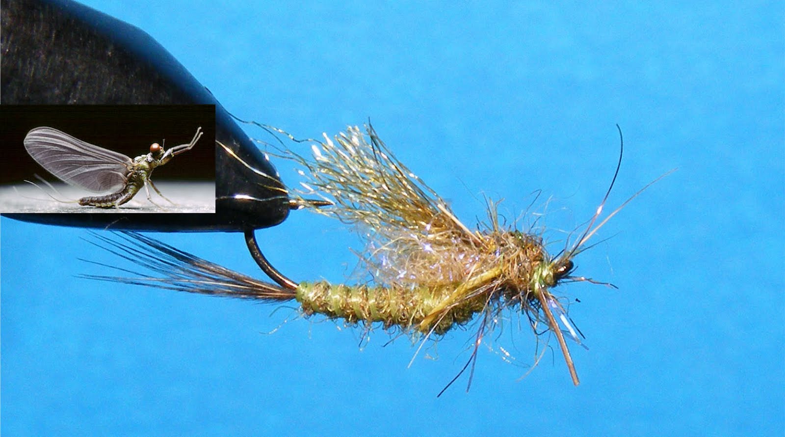 Fly Tying Chad’s BWO (Inverted Hook…Nice) SwittersB & Exploring