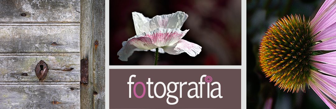 fotografia