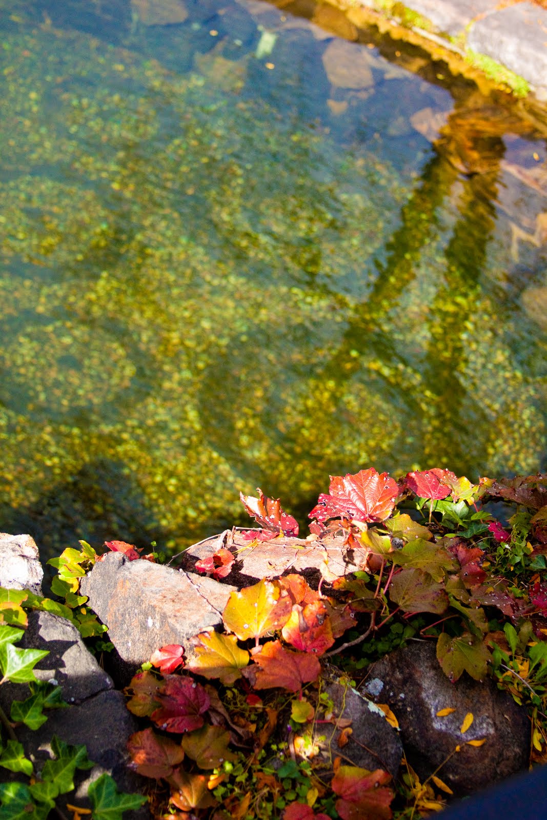 My Musings Kykuit The Rockefeller Mansion