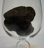 truffe - Château Paillas