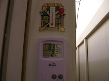 My new thermometer