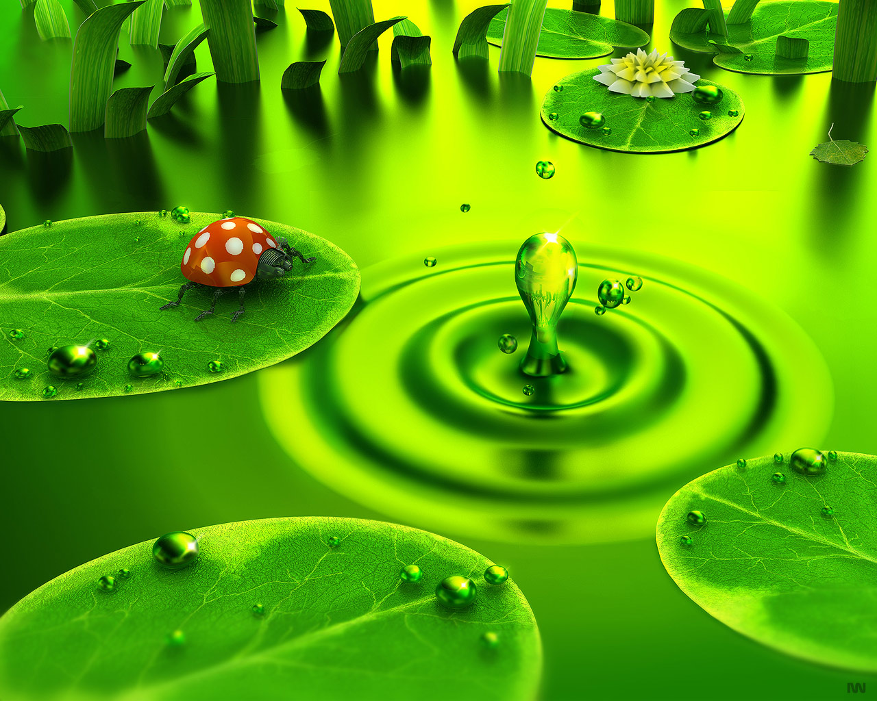 Green Leaves Water Drops Wallpapers