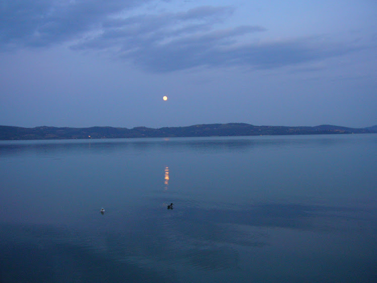 luna riflessa nel lago trasimeno in umbria...