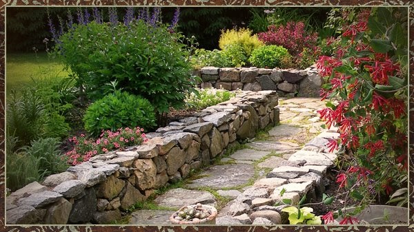 The Occasional Gardener: Irish Walls