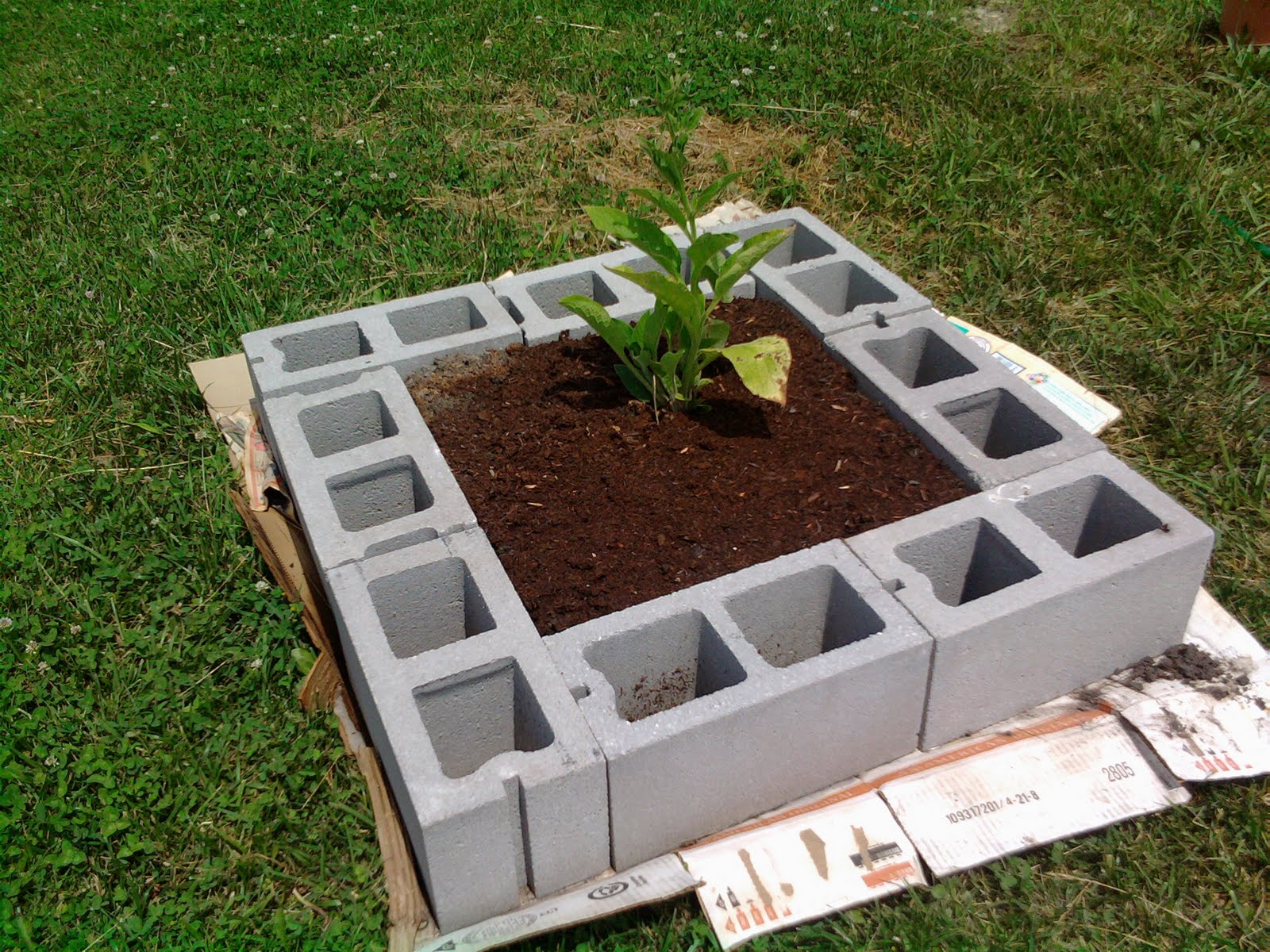 Concrete block raised garden bed plans losangelesfiko