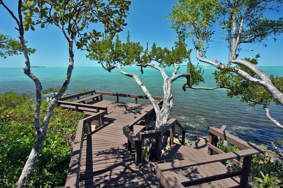 Real Estate in the Florida Keys Beautiful Boater's Paradise Buttonwood