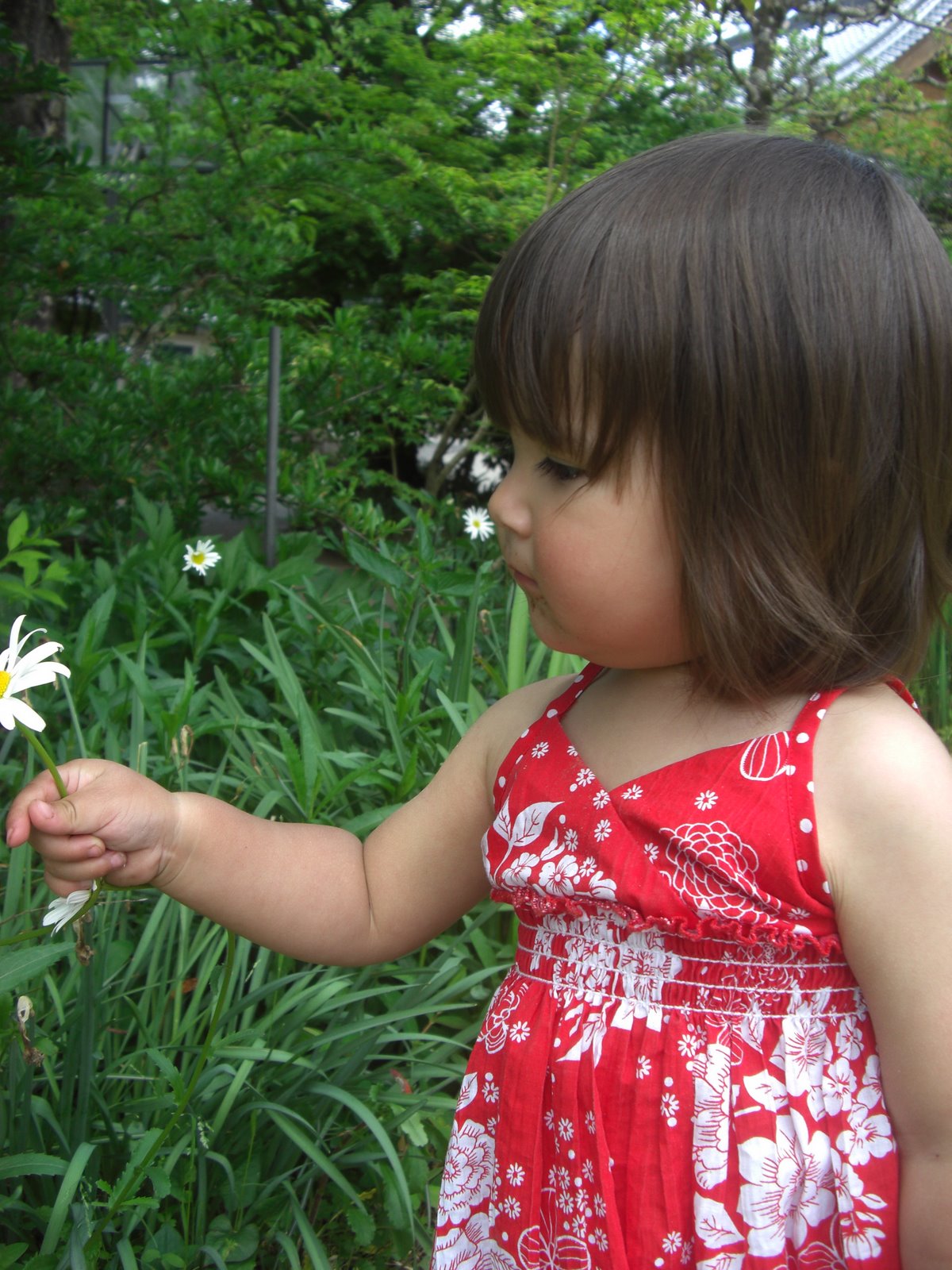 [med+-+flower.JPG]