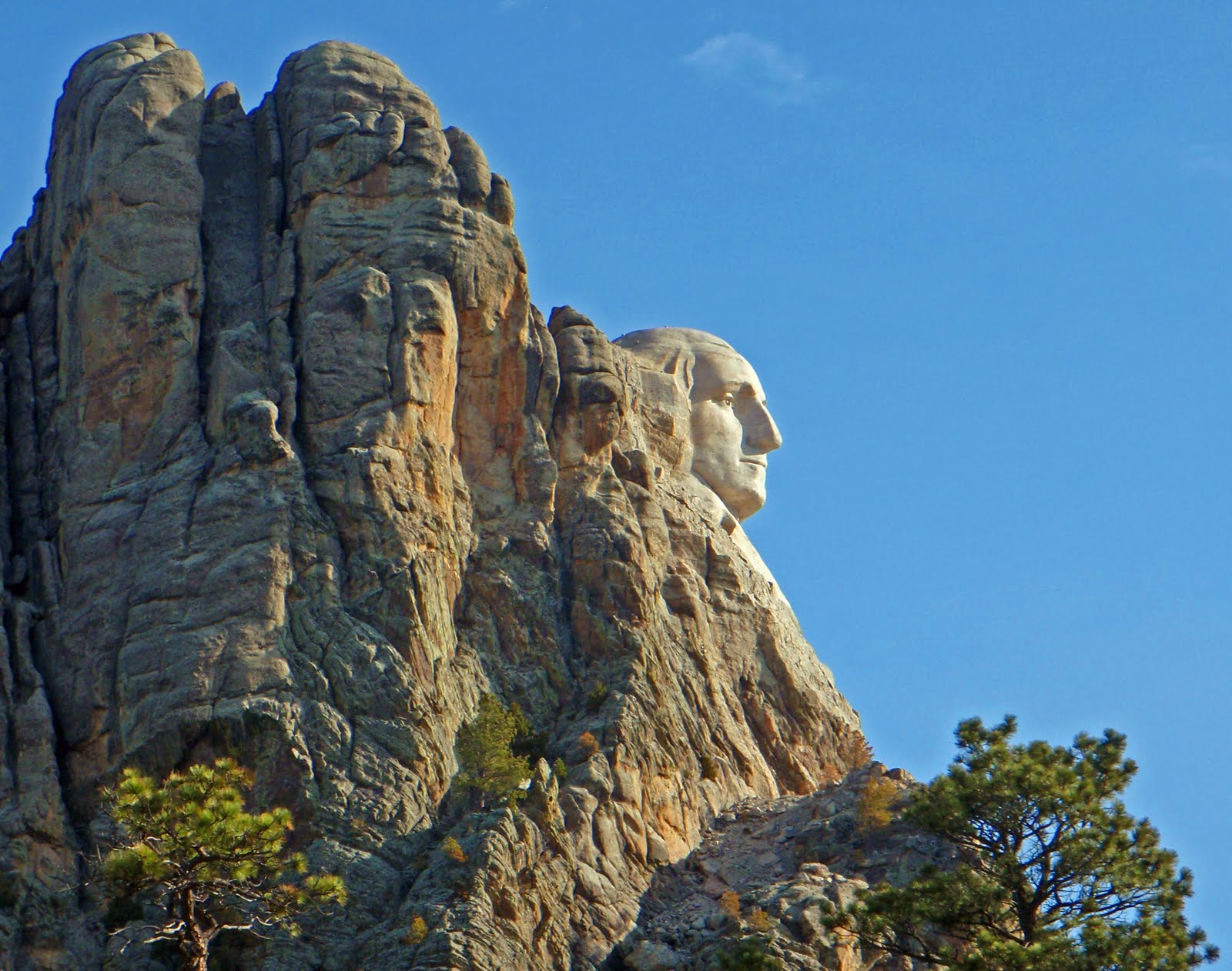 Moose Droppings Mount Rushmore and the Badlands National Park