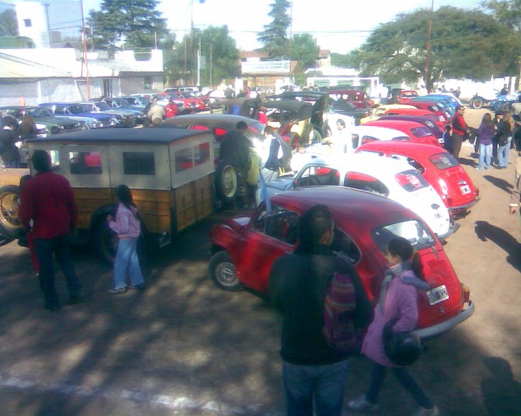 PANORAMICA DE LOS AUTOS